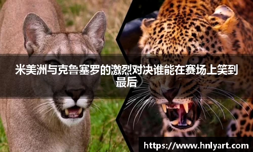 jbo竞博电竞平台